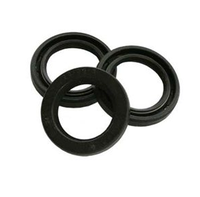 Ремкомплект KIT 2 Interpump
